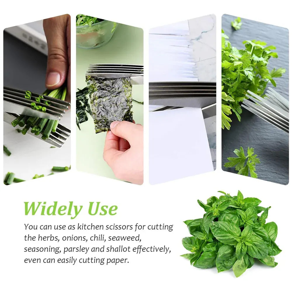 Multi-Layer Vegetable & Herb Chopping Scissor